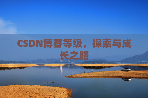 CSDN博客等级，探索与成长之路